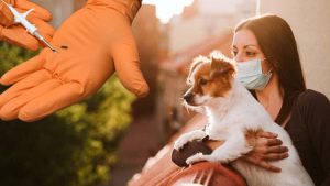Tarım ve Orman Bakanlığı’nca kedi, köpek ve gelincik sahiplerine, besledikleri