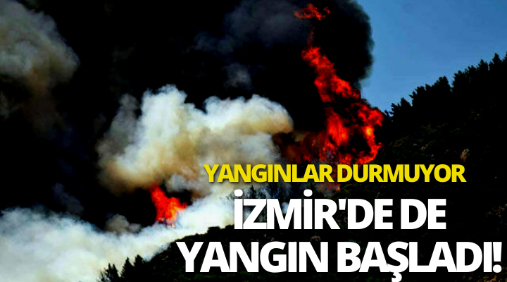 İzmir Kiraz’da orman yangını çıktı