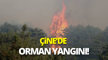 Çine’de orman yangını!