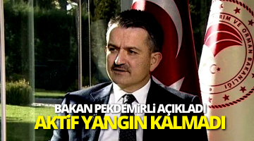 Bakan Pakdemirli: Ülkemizdeki büyük yangınların hepsini söndürdük