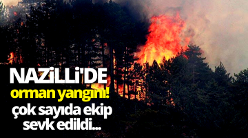 Nazilli’de orman yangını!