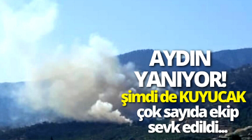 Kuyucak’ta orman yangını!