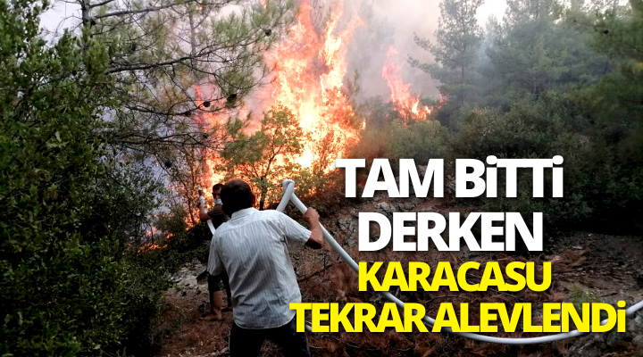 Karacasu tekrar yanmaya başladı!