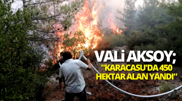 Aydın Valisi Karacasu’da 450 Hektar alan yandığını belirtti