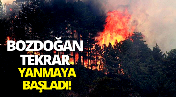 Bozdoğan’da orman yangını!