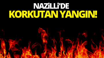 Nazilli’de zirai alanda yangın çıktı
