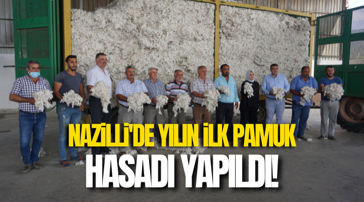 Nazilli’de yılın ilk pamuk hasadı yapıldı!