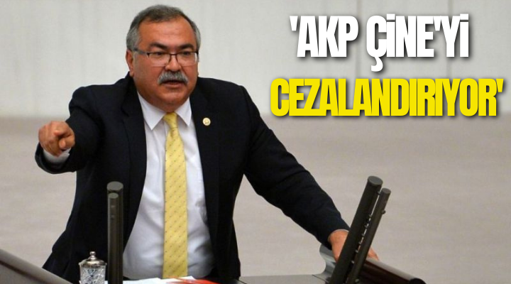 ‘AKP Çine’yi cezalandırıyor’