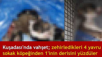 Kuşadası’nda vahşet: Derisini yüzdüler