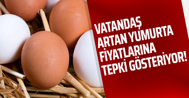 Yumurtanın fiyatı yüzde 65 arttı