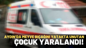 NAZLI ALTINAYAR- Akıl almaz olay Aydın’da meydana geldi. Olay, Efeler