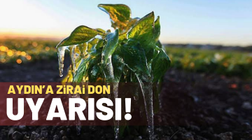 AYDIN’A ZİRAİ DON UYARISI