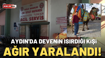 AYDIN’DA DEVENİN SALDIRDIĞI KİŞİ AĞIR YARALANDI