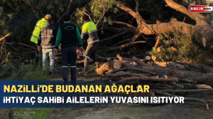 ANLIK HABER-Nazilli Belediyesi Park ve Bahçeler Müdürlüğü ekipleri; Sümer Kampüs