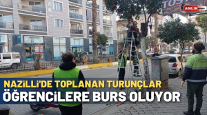ANLIK HABER-Nazilli Belediyesi Park ve Bahçeler Müdürlüğü ekipleri tarafından bir