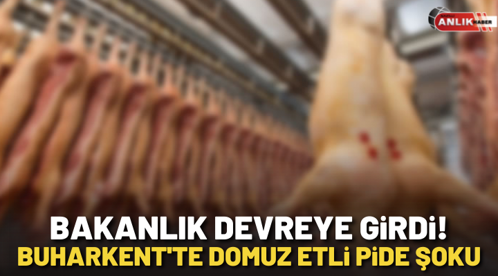 NAZLI ALTINAYAR-Tarım ve Orman Bakanlığı, taklit veya tağşiş yapılan, aralarında
