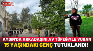 Olay, Aydın’ın Efeler ilçesinde Zeybek Mahallesi 1547 Sokak’ta meydana geldi.