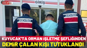 Aydın’ın Kuyucak ilçesinde orman işletme şefliği arazisinden demir kazıkları çalarak