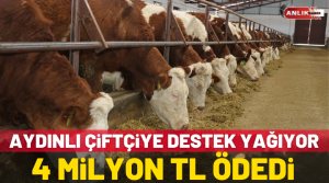 NAZLI ALTINAYAR – Aydınlı çifçilere destek ödemeleri tüm hızıyla devam