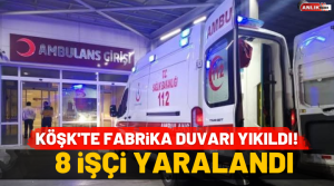 NAZLI ALTINAYAR-Olay, Aydın’ın Köşk ilçesi Serdaroğlu Mahallesi’nde öğle saatlerinde meydana