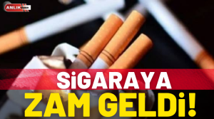 Geçtiğimiz ay Resmi Gazete’de yayımlanarak yürürlüğe giren karara göre sarmalık