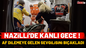 NAZLI ALTINAYAR – Olay, Nazilli’de Sümer Mahallesi Hürriyet Caddesi üzerinde