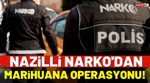 İsabeyli ve Turan Mahallesinde yapılan baskınlar da Yüklü Miktarda Uyuşturucu