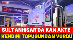 NAZLI ALTINAYAR – Olay, Sultanhisar ilçesine bağlı Atça Mahallesi’nde akşam