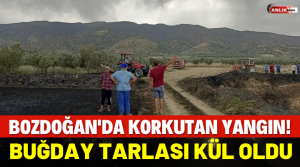 ALİ GÜNANA – Yangın, Bozdoğan’a bağlı Alamut köyünde öğle saatlerinde