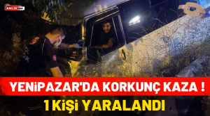 Kaza, Aydın- Denizli karayolu üzerinde Yenipazar yol ayrımında akşam saatlerinde