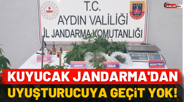 Kuyucak Jandarma’dan uyuşturucuya geçit yok