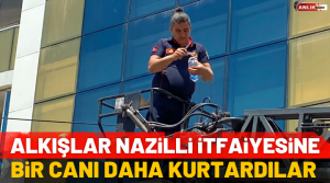 NAZLI ALTINAYAR- Olay, Nazilli’de Yıldıztepe Mahallesi 51 sokakta öğle saatlerinde