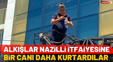 Nazilli İtfaiyesi bir canı daha kurtardı!