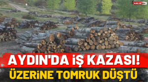 Olay Efeler’e bağlı Dalama Mahallesi’nde yaşandı. Alınan bilgiye göre, M.T.