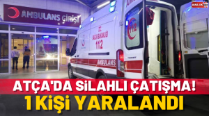 NAZLI ALTINAYAR– Olay, Sultanhisar’a bağlı Atça Mahallesi’nde akşam saatlerinde meydana