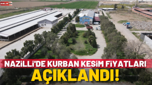 Nazilli Belediyesi Kurban Bayramı öncesi ilçe genelinde hazırlıklara başladı. Kurbanlıklarını