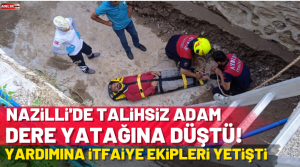Alınan bilgiye göre, Bayındır Mahallesi’nde ilek toplamak için ağaca çıkan
