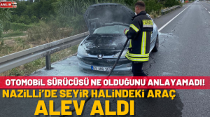 NAZLI ALTINAYAR- Korkutan olay, Aydın- Denizli Karayolu üzerinde Sevindikli kavşağına