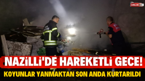 NAZLI ALTINAYAR – Yangın, Nazilli’de Bozyurt Mahallesi’nde bulunan bir damda