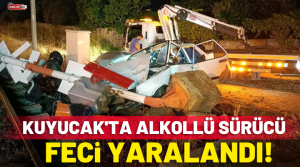 NAZLI ALTINAYAR – Kaza, Kuyucak’ta hemzemin geçitinde gece saatlerinde meydana