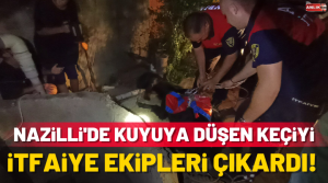 ALİ GÜNANA – Olay, Nazilli’de Yeşil Mahalle 622 sokakta akşam