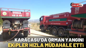 Karacasu’da orman yangını