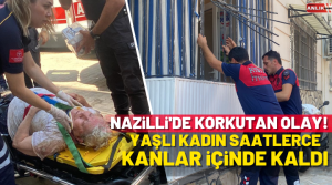 NAZLI ALTINAYAR- Olay, Zafer Mahallesi 103 sokak üzerinde bulunan 3