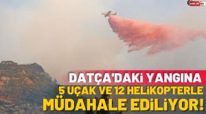 Muğla’nın Datça ilçesindeki orman yangınına havanın aydınlanmasıyla birlikte 5 uçak