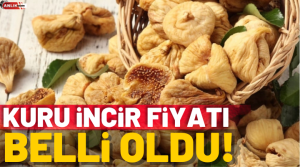 Kuru incirin satış fiyatı belli oldu. Aydın Ticaret Borsası’nda kuru
