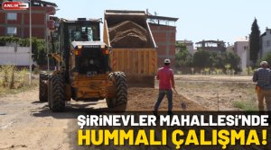 Nazilli Belediyesi Fen İşleri Müdürlüğü ekipleri, Şirinevler Mahallesi 250, 281/1,