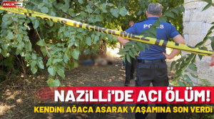 NAZLI ALTINAYAR- Olay, Nazilli Yeni Sanayi Mahallesi 1026 sokak numara