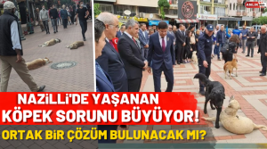 NAZLI ALTINAYAR- Nazilli’de son günlerde yaşanan sokak köpeği krizi gün