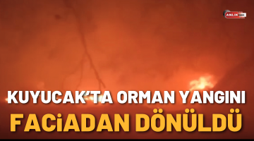 Kuyucak’ta orman yangını
