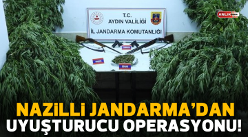 Nazilli Jandarma’dan uyuşturucu operasyonu